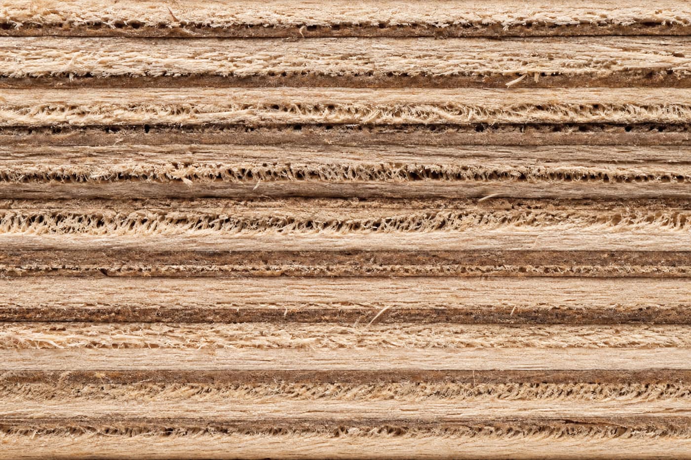 Veneer layers and glue lines at the cut edge.