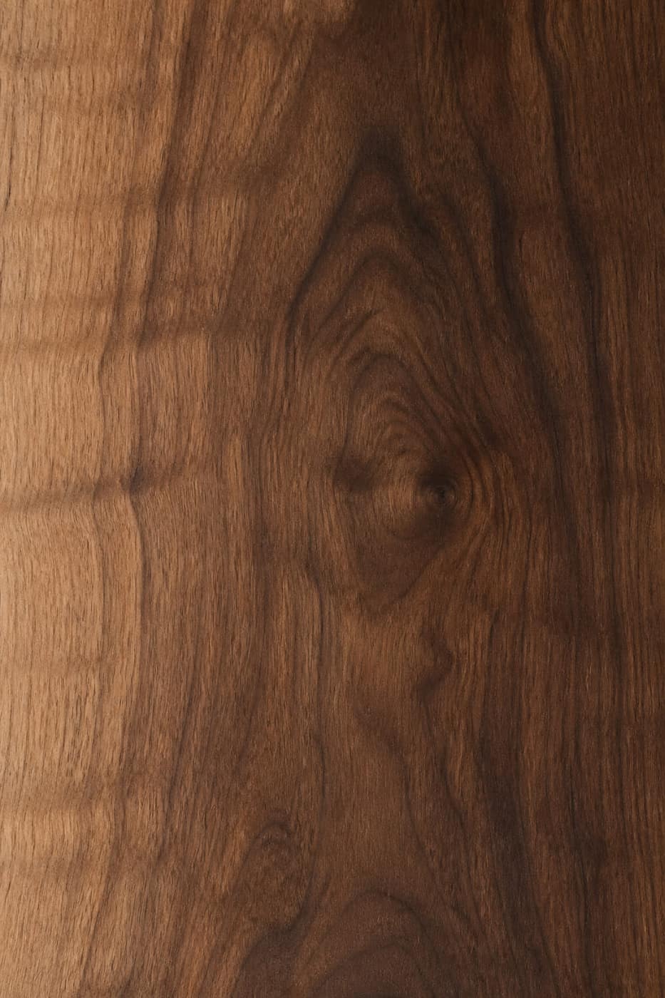 Veneers at Nature Surface Decor
